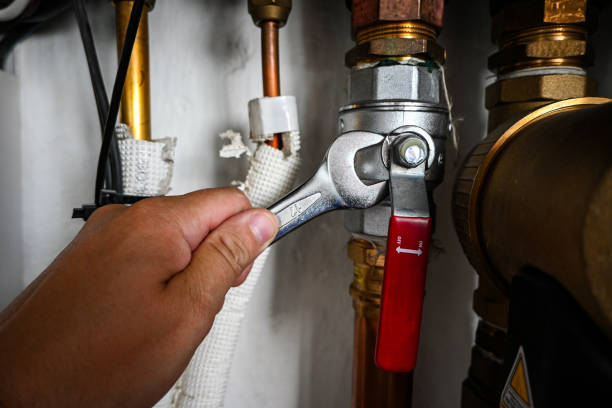 Best Local Plumber Services  in Opp, AL